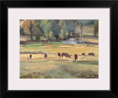 Grazing Cows Watercolor