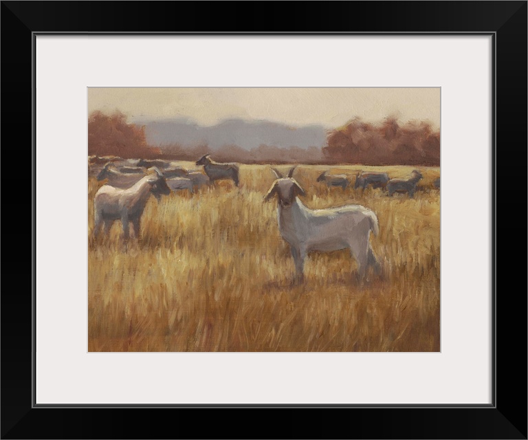 A contemporary horizontal painting of a group of goats in a field with one goat looking toward the viewer.