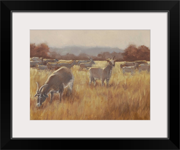 A contemporary horizontal painting of a group of goats in a field with one goat looking toward the viewer.