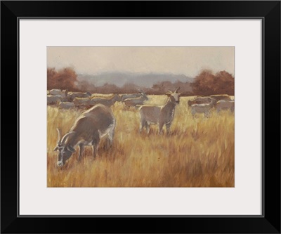 Grazing Goats II