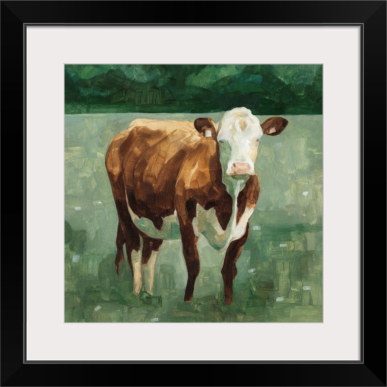 Hereford Cattle I