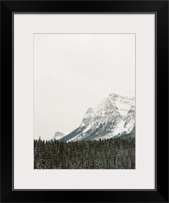 Photograph of snow frosted trees in front of a large mountain, Lake Louise, Canada