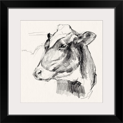 Holstein Portrait Sketch II