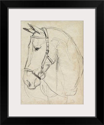 Horse In Bridle Sketch II