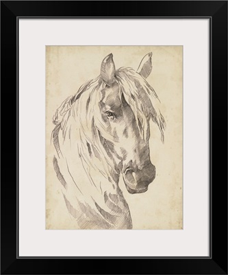 Horse Portrait Sketch I