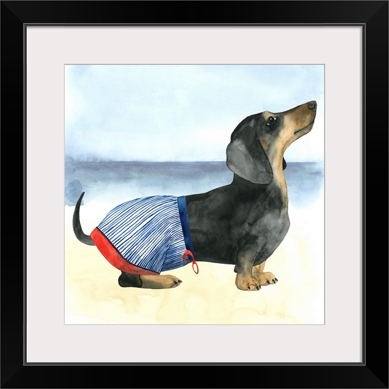 Square watercolor painting of a Dachshund wearing a bathing suit on the beach.