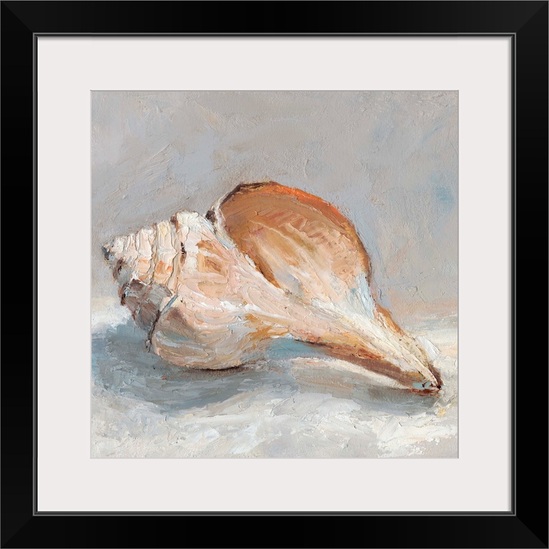 Impressionist Shell Study III