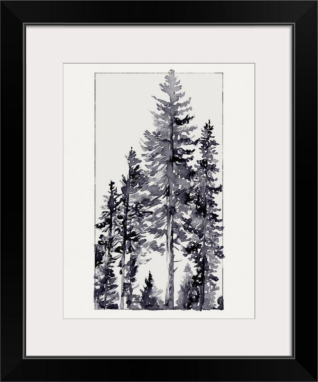 Inky Evergreen II