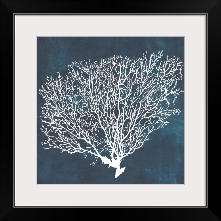 Contemporary nautical themed artwork of a sea fan in white against a dark navy blue background.