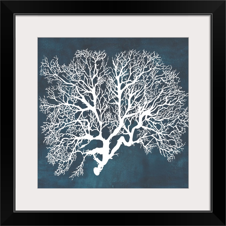 Contemporary nautical themed artwork of a sea fan in white against a dark navy blue background.