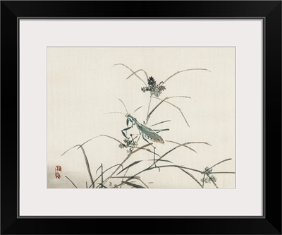 Kono Bairei Dragonflies III