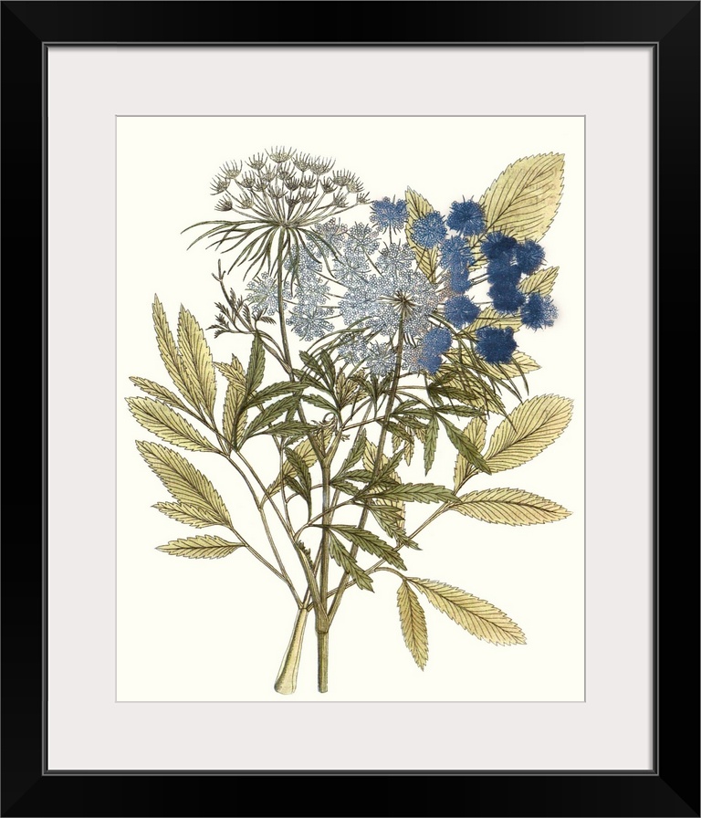 A decorative vintage illustration of group of leaves.