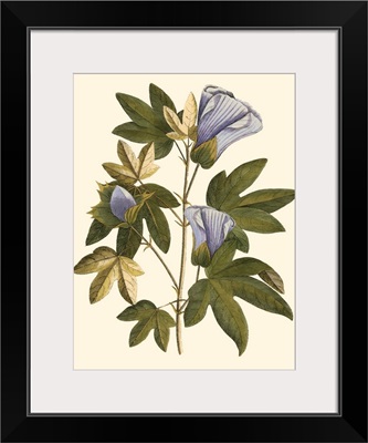 Lavender Floral II