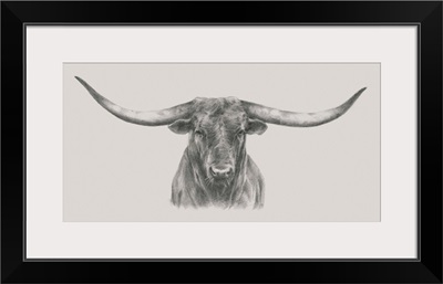 Longhorn Bull