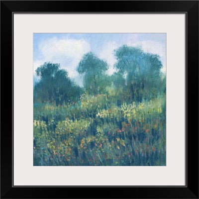 Meadow Wildflowers II