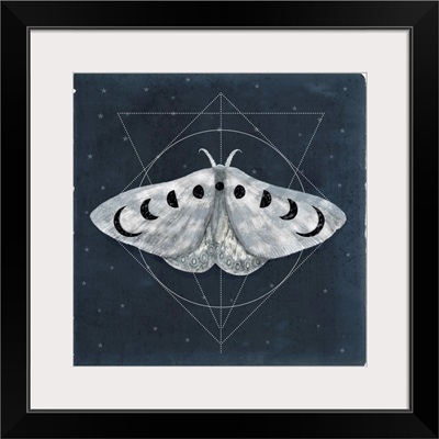 Midnight Moth II