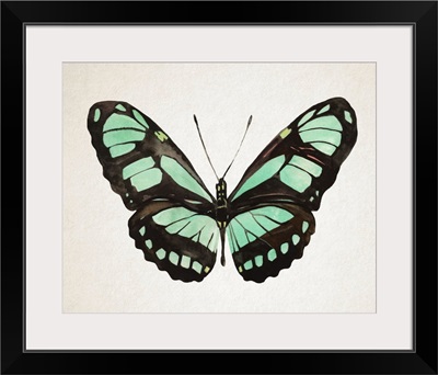 Mint Butterfly II