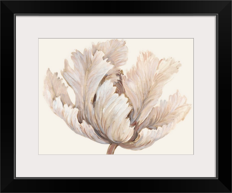 Monochromatic Tulip I