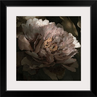 Moonlit Peony I