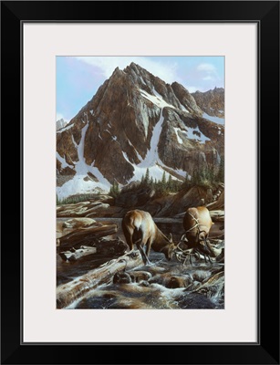 Mountainside Elk II