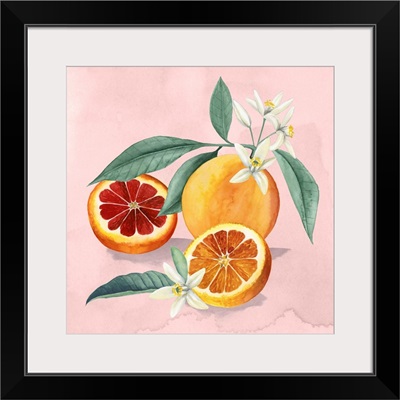 Orange Blossom II