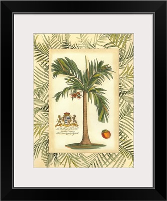 Palm in Bamboo III
