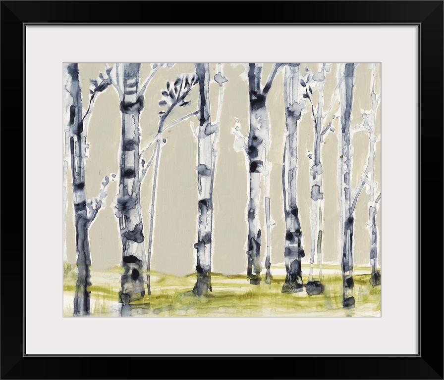 Watercolor painting of a grove of birch trees.