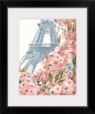 Paris Cherry Blossoms II