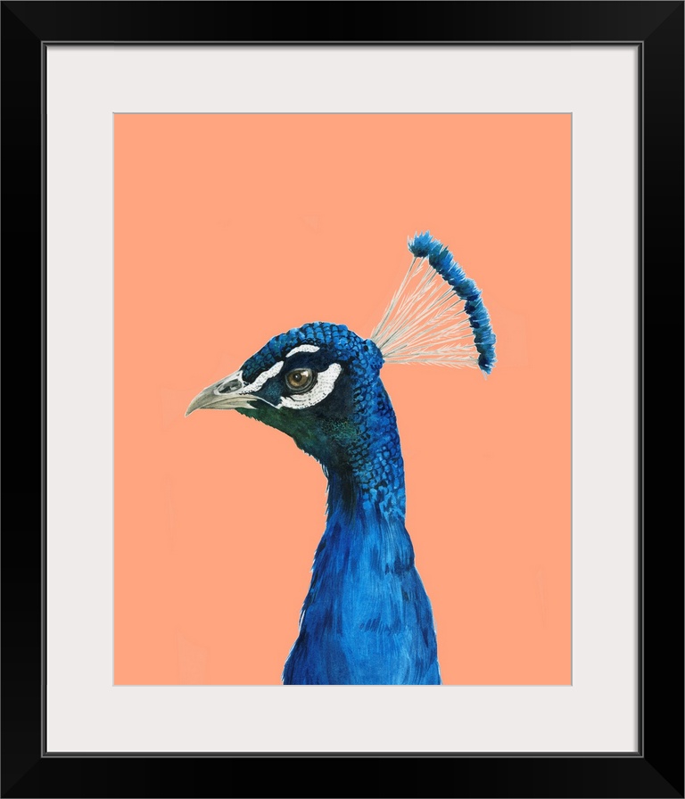 Peach Peacock Portrait II