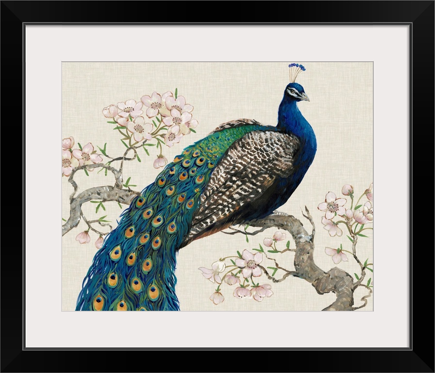 Peacock and Blossoms I