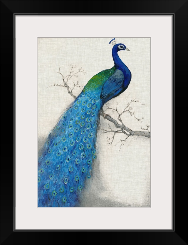 Vertical, large artwork of a vibrant peacock sitting on a branch, its tail feathers flowing downward, on a neutral backgro...