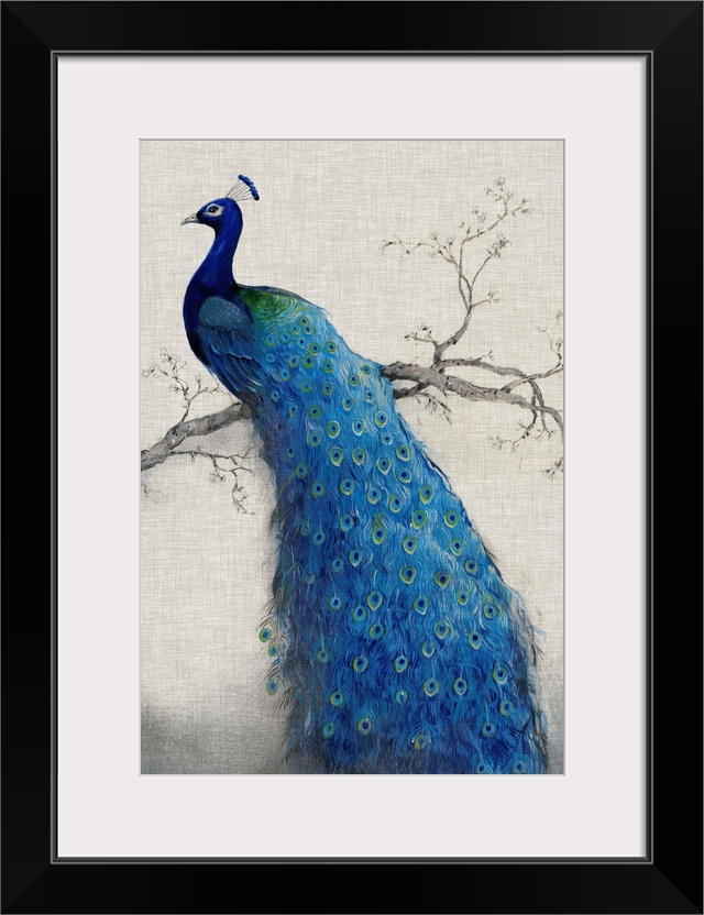 Vertical, large artwork of a vibrant peacock sitting on a branch, its tail feathers flowing downward, on a neutral backgro...