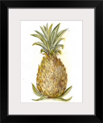 Pineapple Sketch I