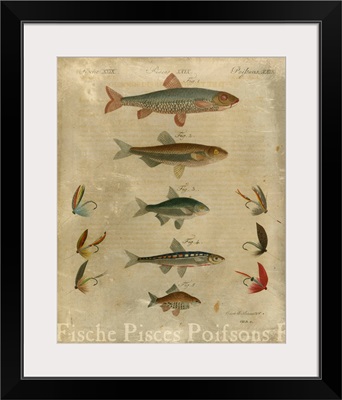Pisces Composition I