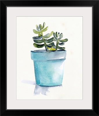 Potted Succulent II