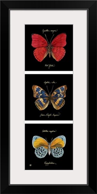 Primary Butterfly Panel I