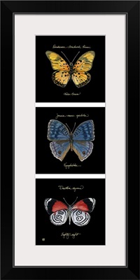 Primary Butterfly Panel II