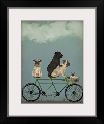 Pug Tandem
