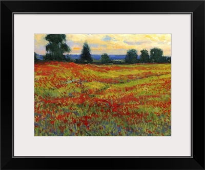 Red Field I