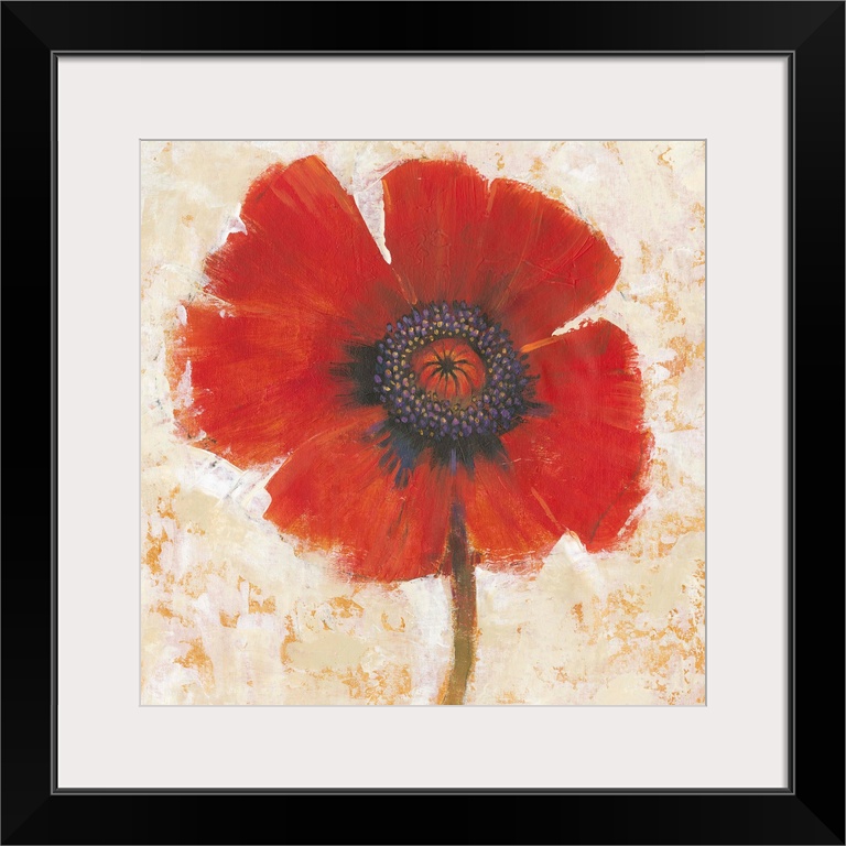 Creative painting of a bright red poppy on a mottled gold and beige backdrop.