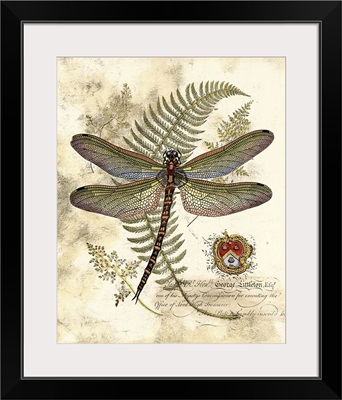 Regal Dragonfly I