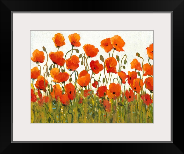 Rows of Poppies I