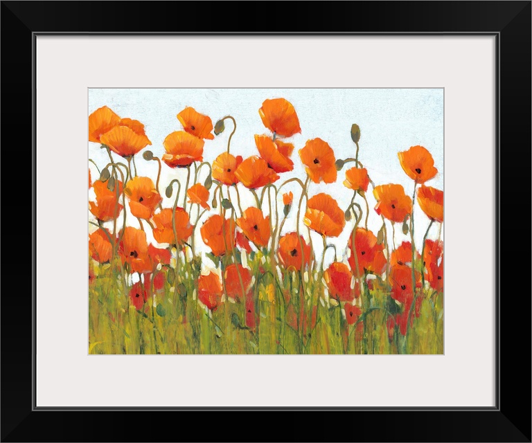 Rows of Poppies II