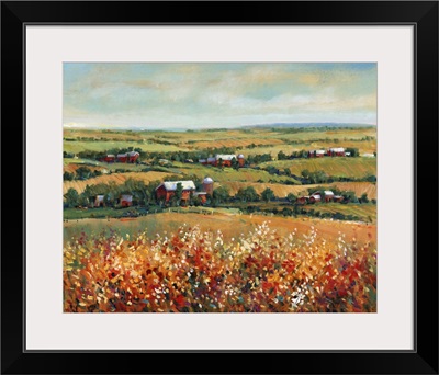 Rural Open Landscape I