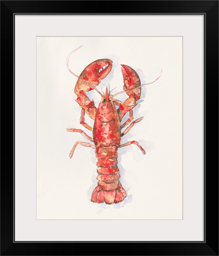 Salty Lobster I