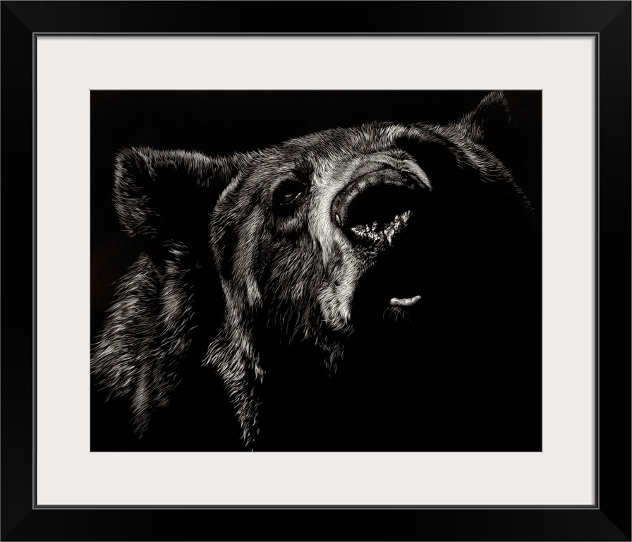 Black and white illustration of a bear up close.
