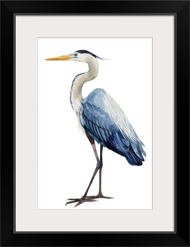 Modern illustration of a great blue heron on a white background.