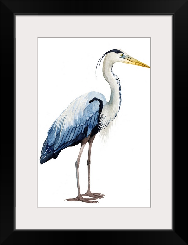 Modern illustration of a great blue heron on a white background.