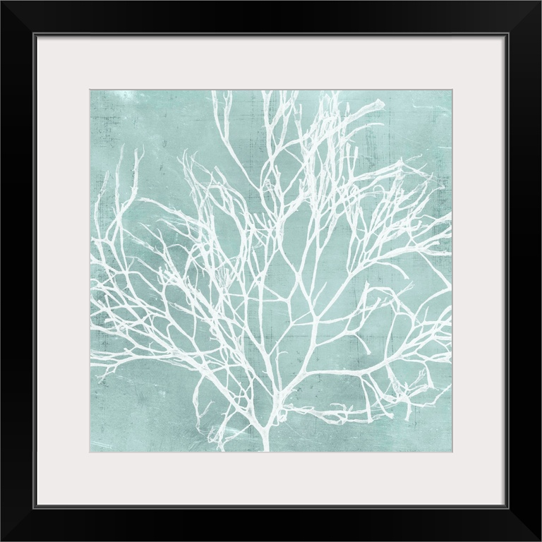 Seaweed illustration in white on an aquamarine blue background.