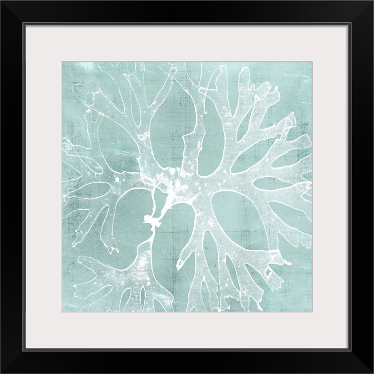 Seaweed illustration in white on an aquamarine blue background.